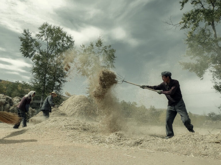 Farming Busy in Autumn Harvest Season - Farming Busy in Autumn Harvest Season7